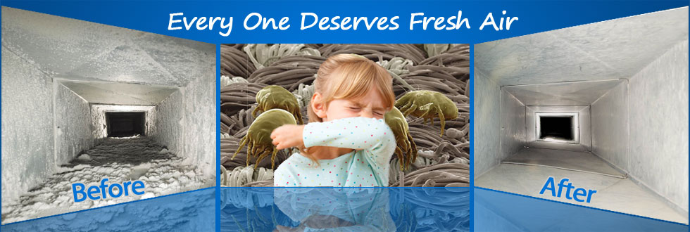 cleaning duct and vent